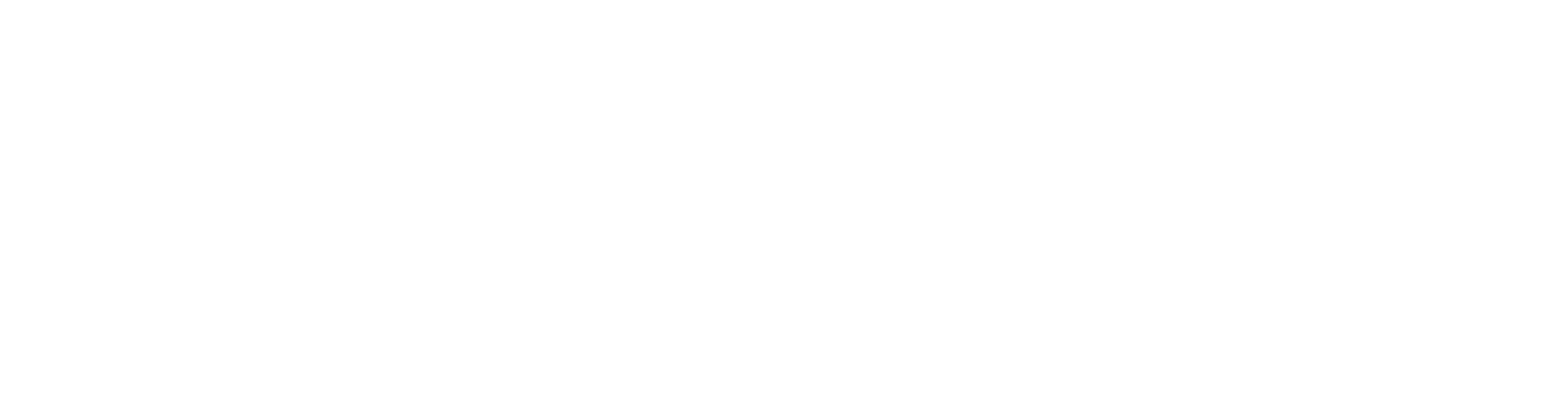 rain-bird-logo-white