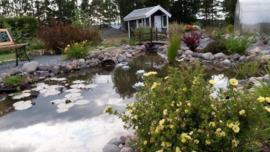 Beautiful Custom pond and garden