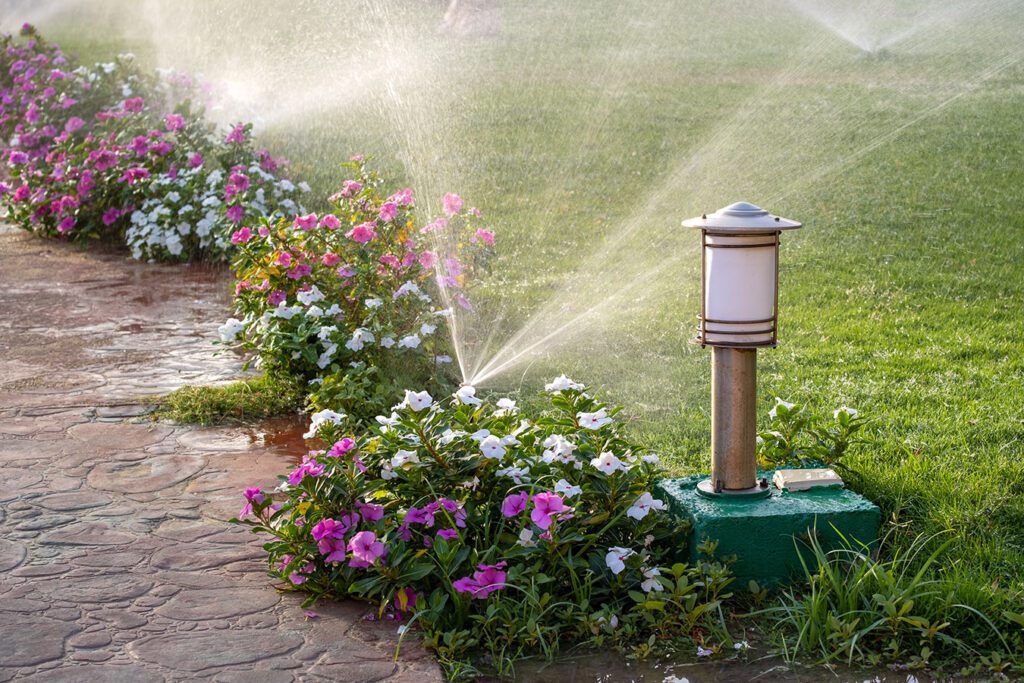 Custom-landscaping-with-lighting-and-irrigation