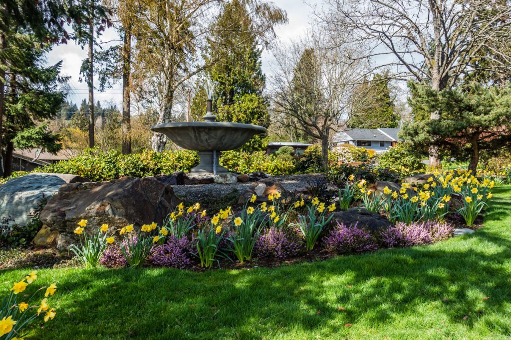 Garden-Fountain-Waterfeature-with-Bird-Bath