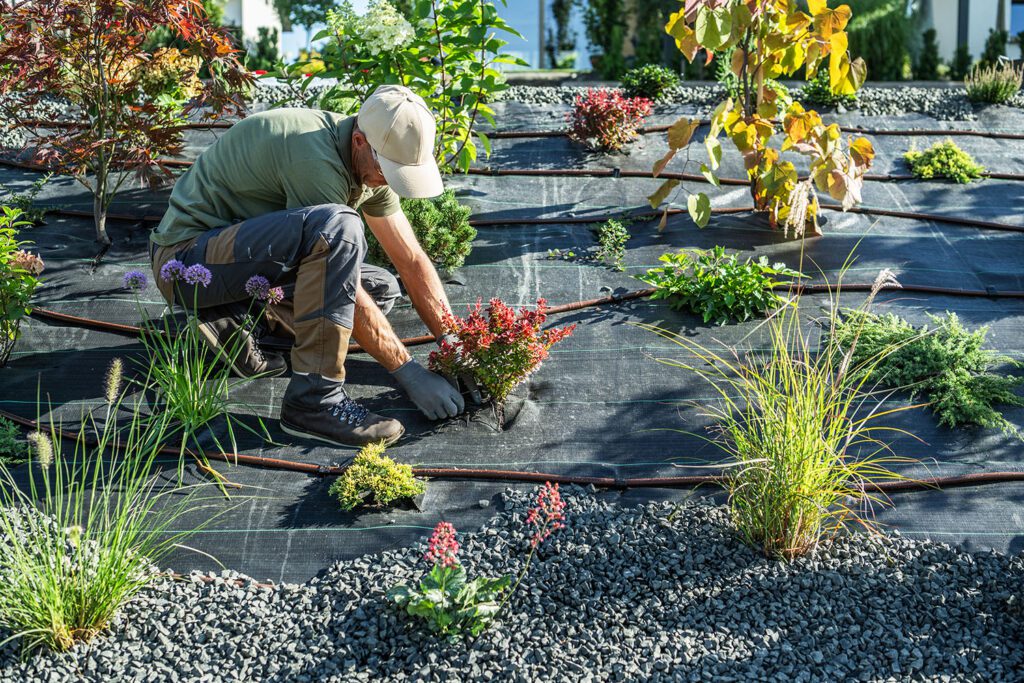 Landscaper-works-on-planting-flowers-in-a-garden