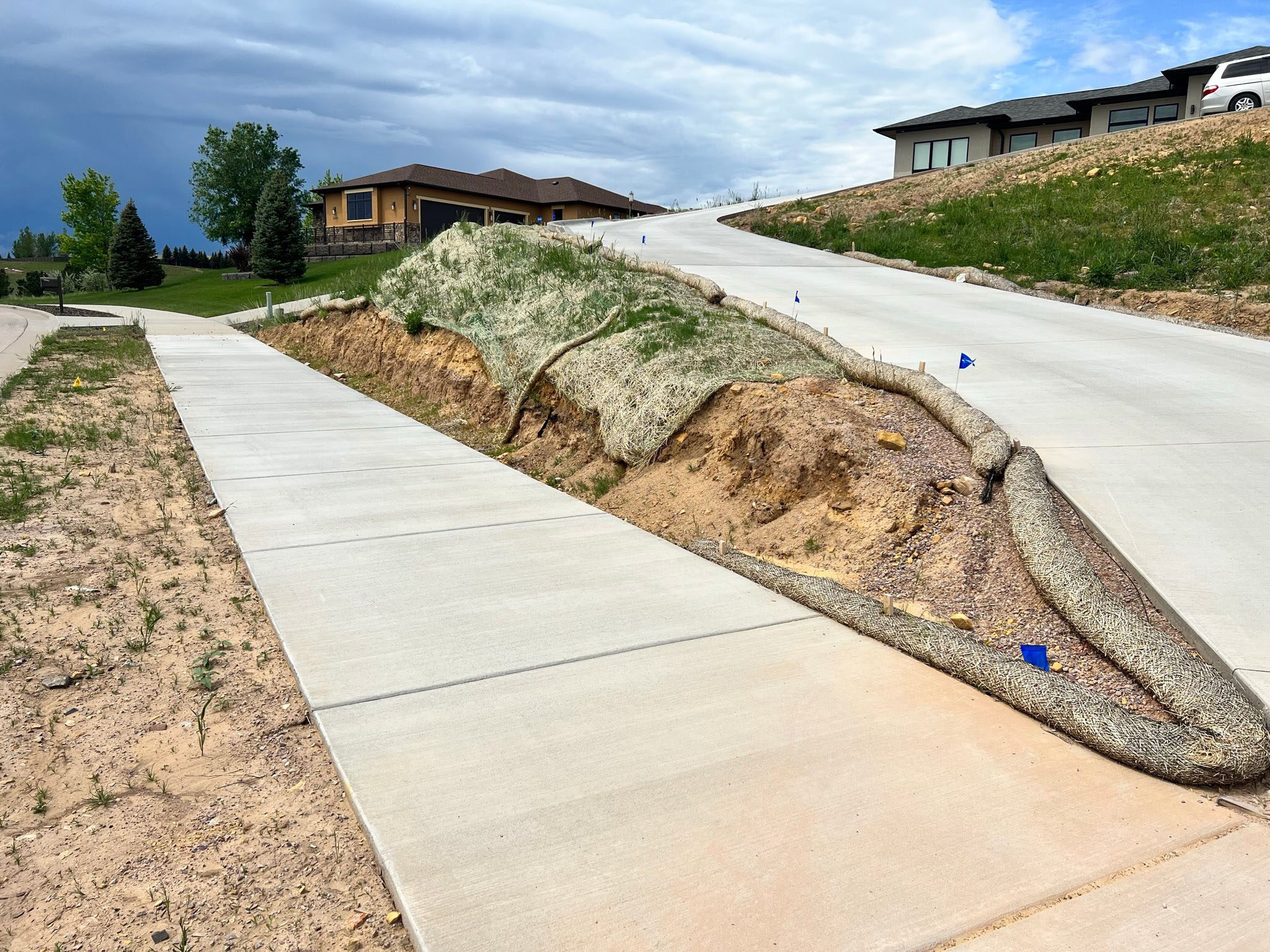 The Vista Project Custom Driveway Plantings