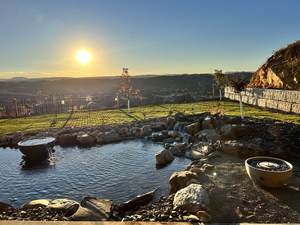 The Vista Project Featured Image