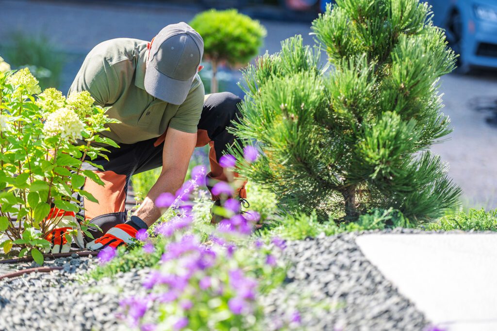 landscaper-working-on-landscaping-on-bright-day